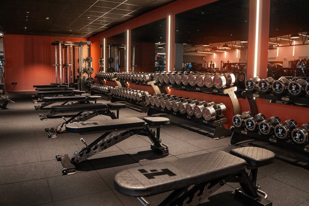 Fitness Therapy premium free-weight floor